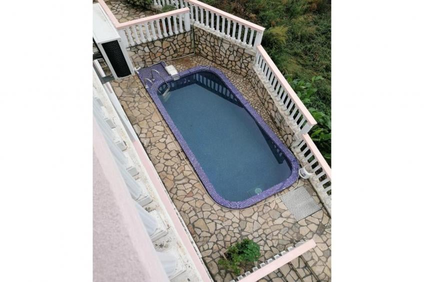 Delfin 1 - foto 2