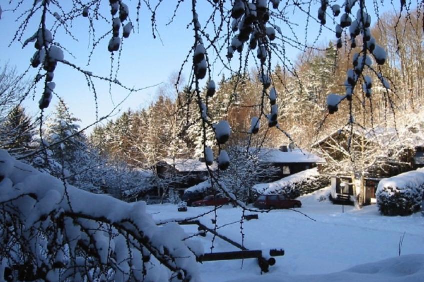 Haus 1  - Typ C (kombiniert) - foto 34