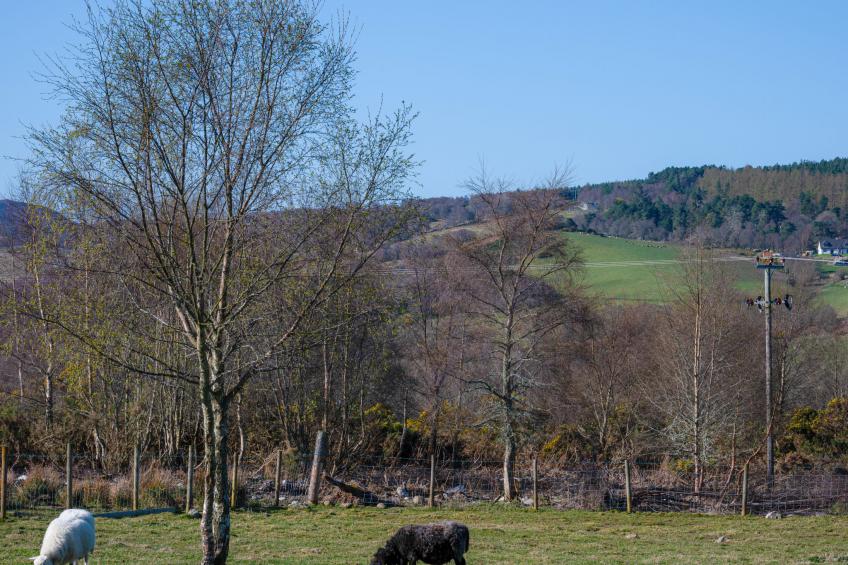 Crofters View - foto 27