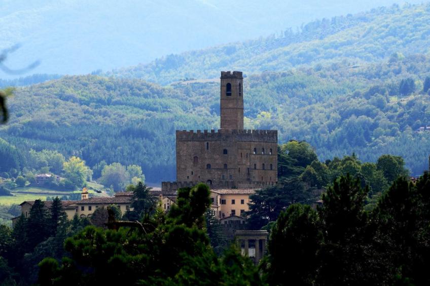 Ferienvilla 'Casalino' mit privatem Pool - foto 41