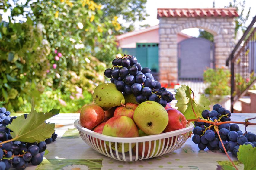 Apartment 1755 - foto 2