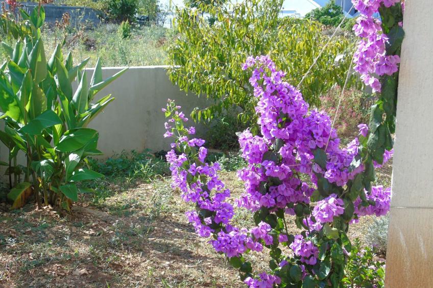 Wohnung direkt am Strand - foto 23