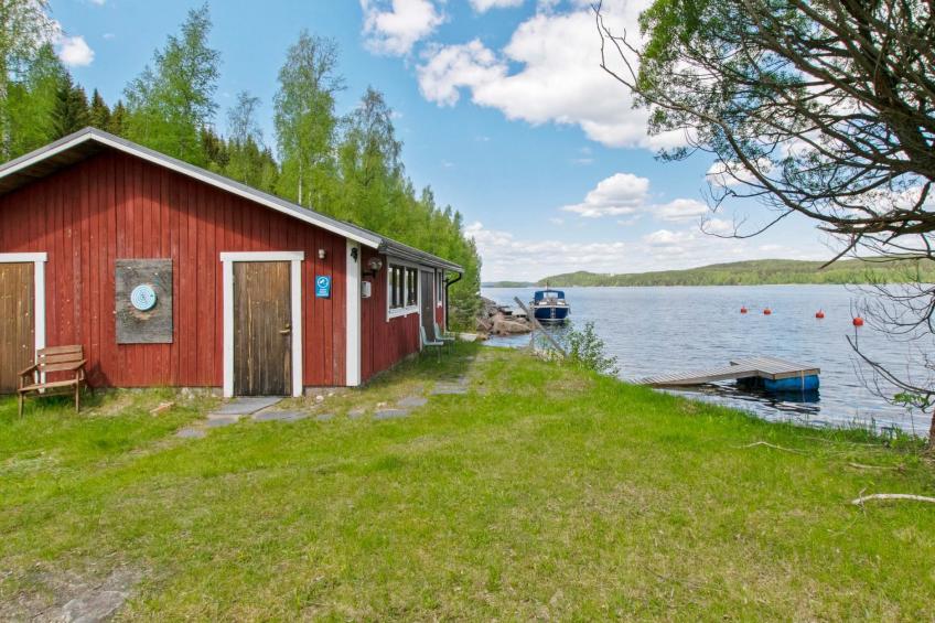 Heinäsorsa - foto 28