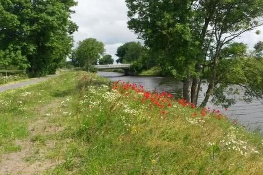 Altes Pastorenhus - foto 29