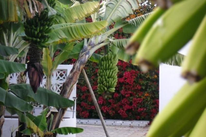 Urlaub in der Natur mit Meerblick - foto 17