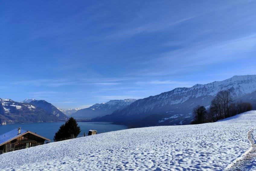 Traumblick Krattigen - foto 23