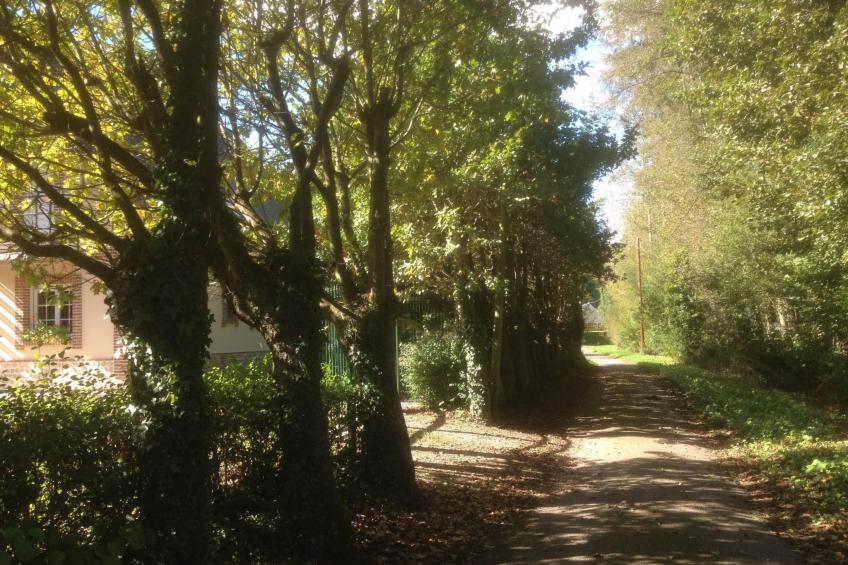 Le Clos du Hêtre - foto 13