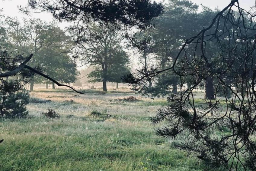 Park Haarle - foto 19