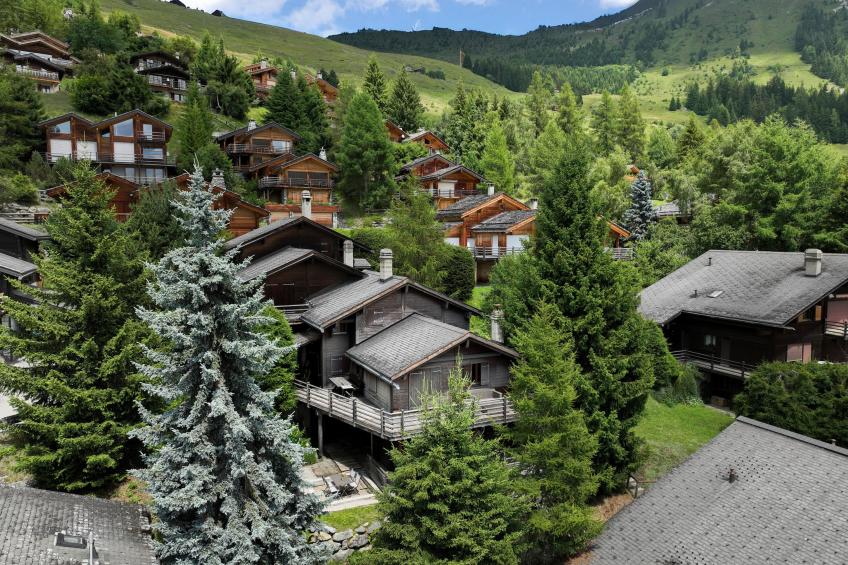 Sernisa Rez - foto 17