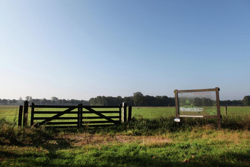 Bungalow 27 - foto 31