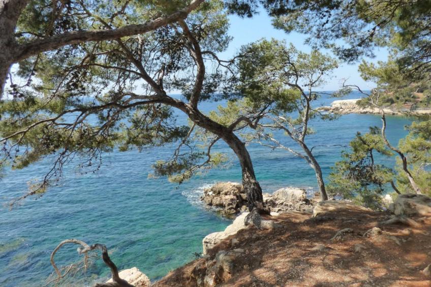 Provenzalisches Landhaus am Meer in ruhiger Lage. - foto 17