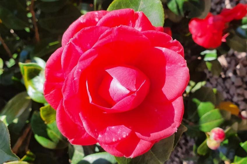 Casa delle Vigne - foto 39