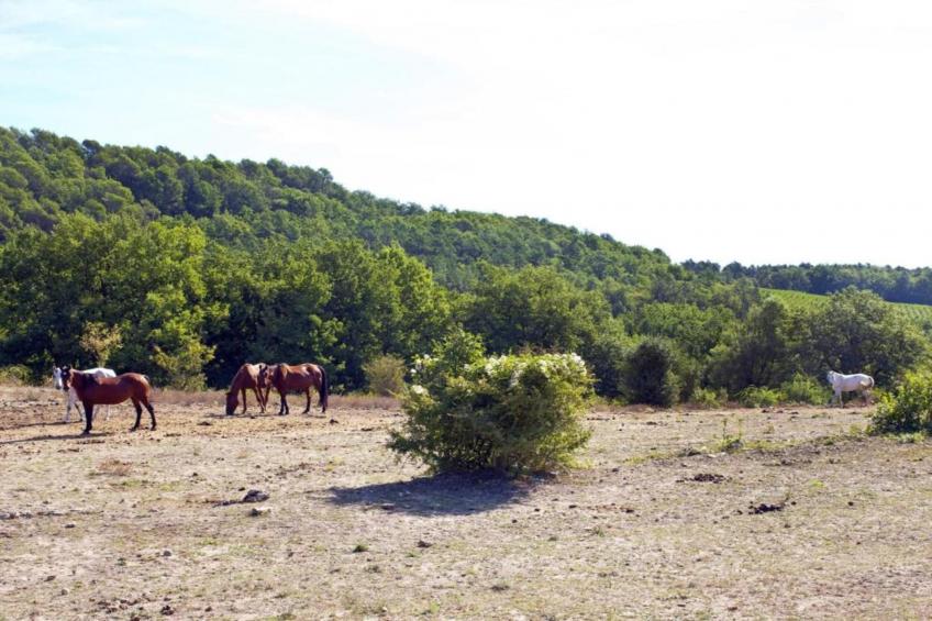 Domaine de Fayence - foto 27