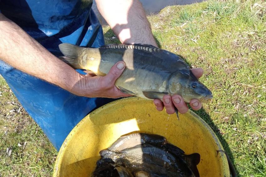 Blockhaus mit eigenem See - foto 50