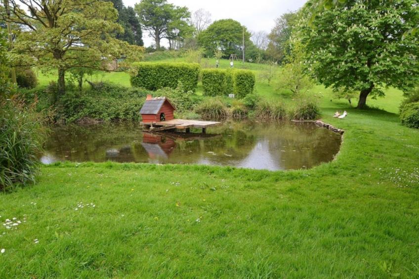 Cherry at Buckland Court - foto 18