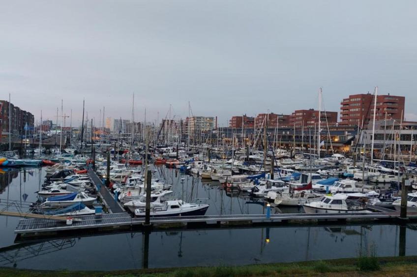Harbour 54 - foto 27