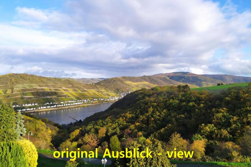 mit Balkon und Rheinblick - foto 2