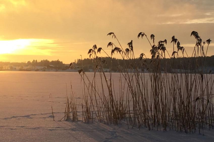 Nachhaltig und gefühlvoll in Seenähe - foto 24
