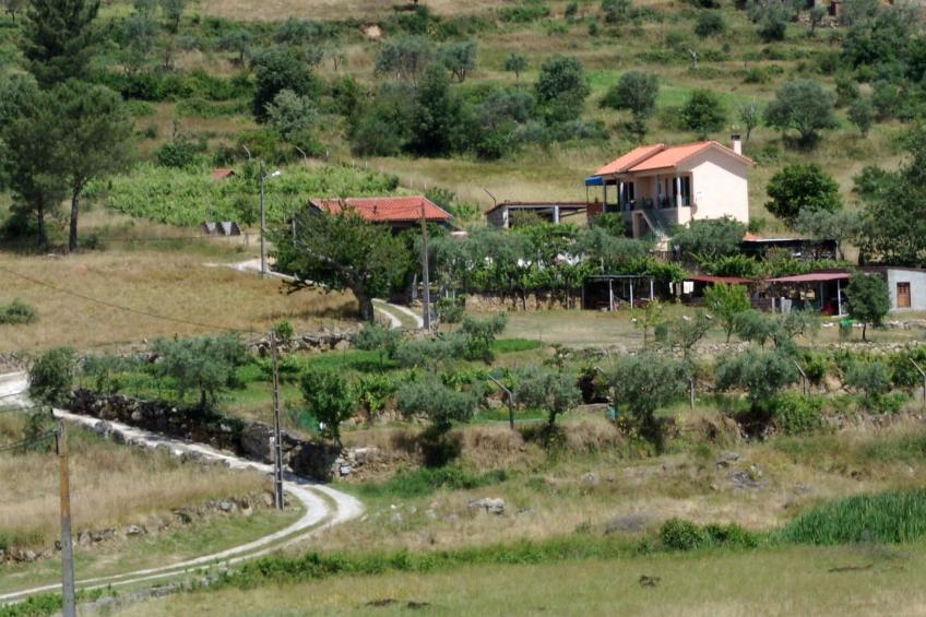 Ferien auf dem Bauernhof mit Weinberg - foto 23
