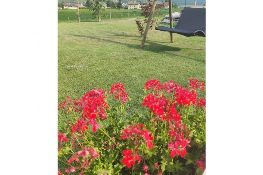 447726 - foto 10