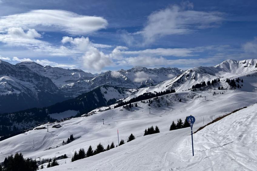 Peak App., Morgins - foto 27