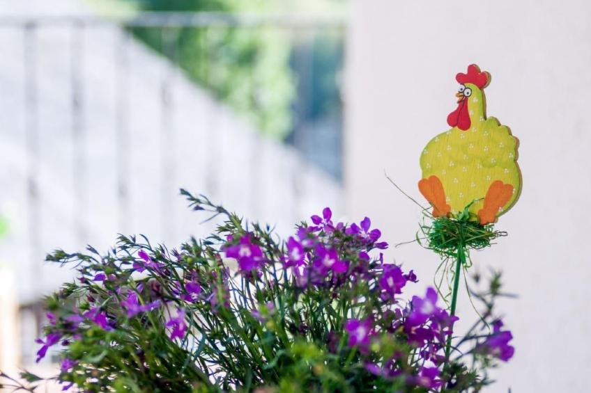 Rural House in the mountain of León - foto 10