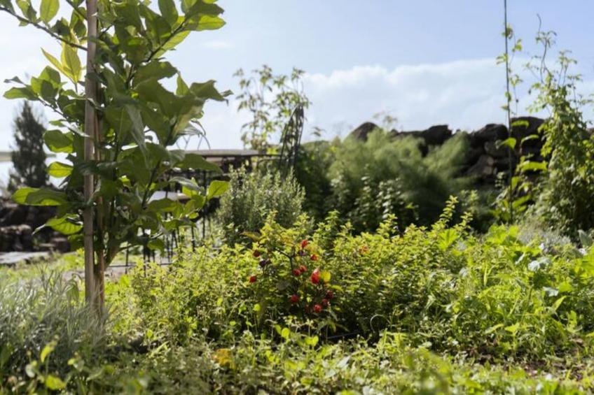 Résidence Quinta Marefe - Sur La Magnifique Côte Ouest - foto 35