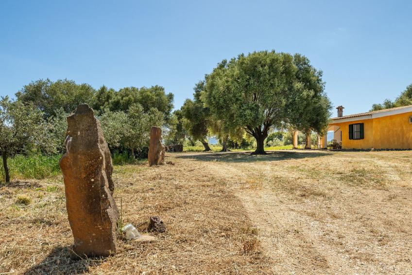 Villa Sae Grecu in Orosei - foto 30