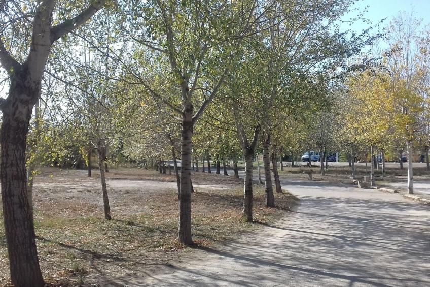 Casa rural hospital del temple - foto 28