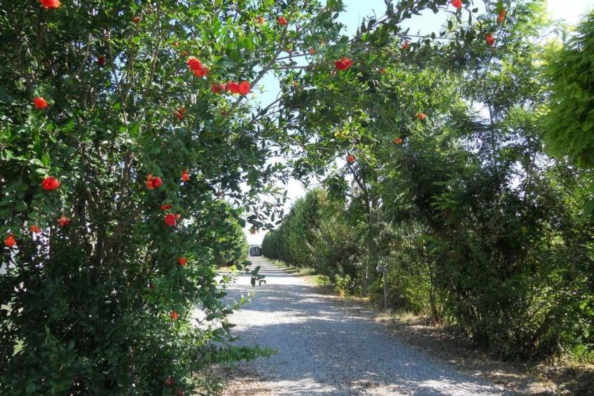 Miniwohnung in Ferrara mit Garten - foto 62
