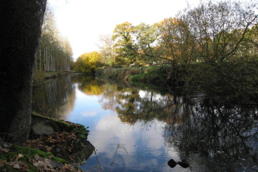 Le Fournil - foto 34