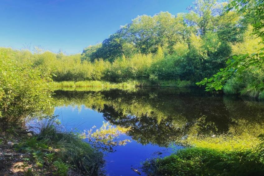 De Groninger Zeeuw - foto 44