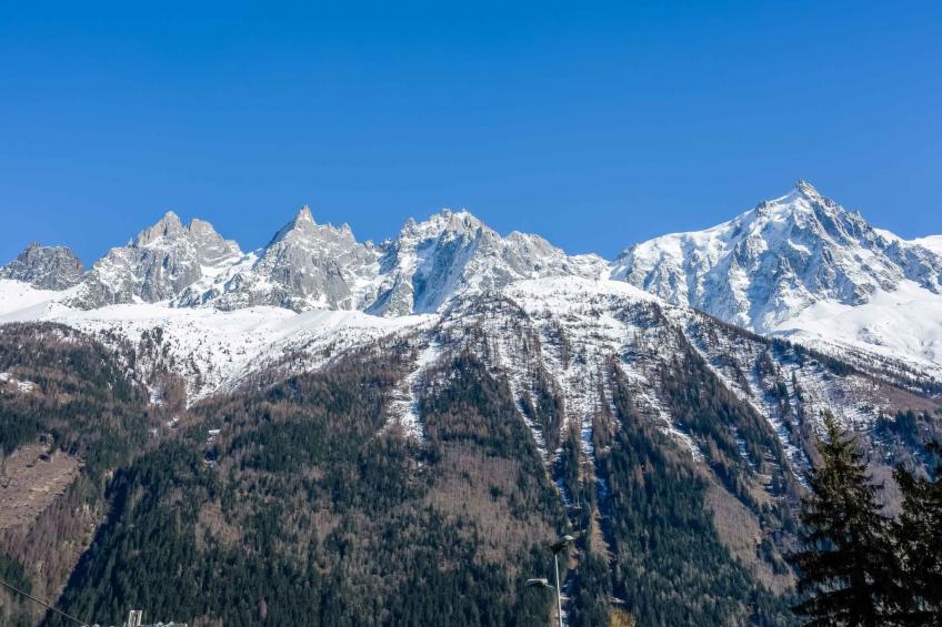 Wohnung in Chamonix Centre-Ville und Bergblick - foto 12
