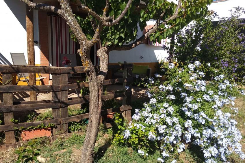 Finca El Chorrillo Studio - foto 3