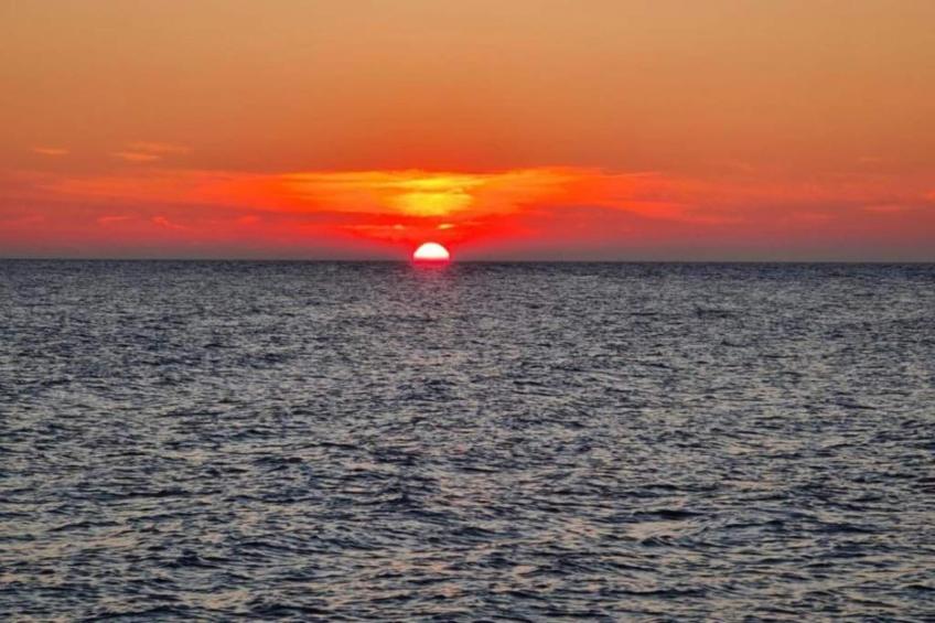 Altes Bauernhaus / Gartenblick - foto 35