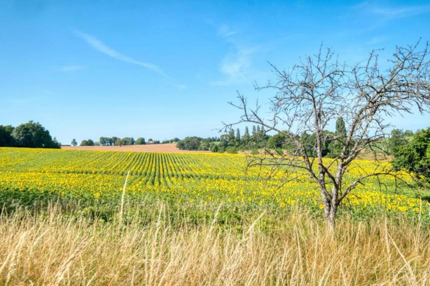 Maison de vacances - LUSIGNAC  Gastverblijf - foto 36