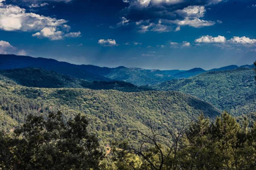 Maison de vacances - SEIGNEULLES - foto 33