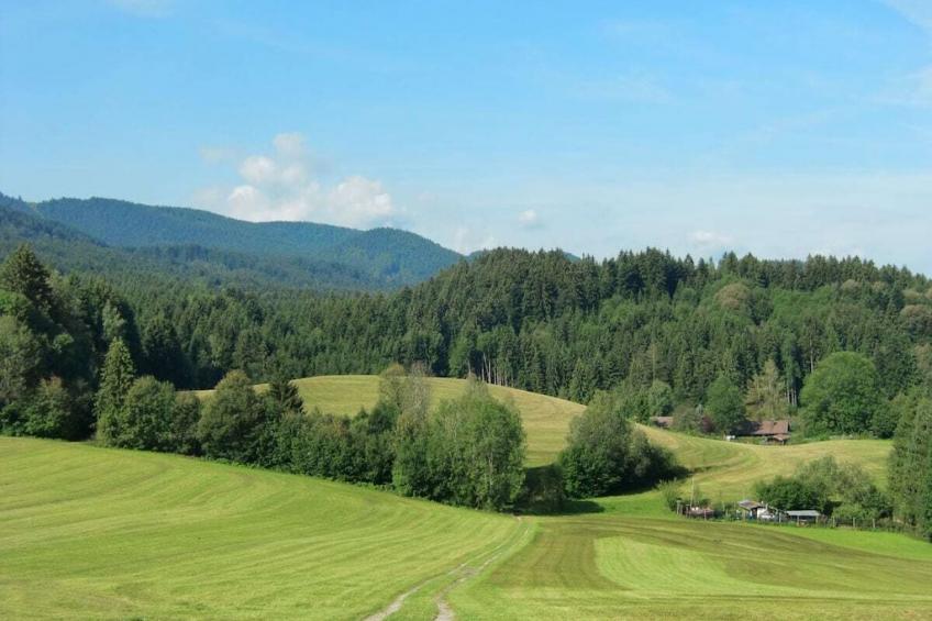 179043 - foto 17