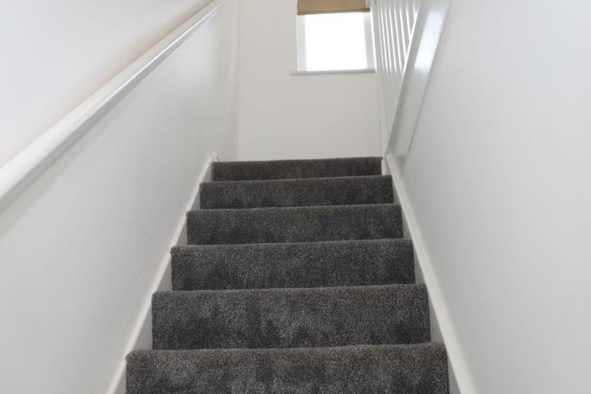 Wien Orpington - foto 18