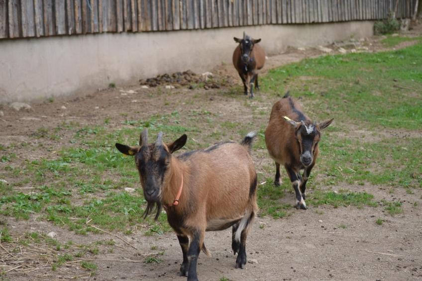 mit Balkon und zwei Schlafzimmern - foto 23