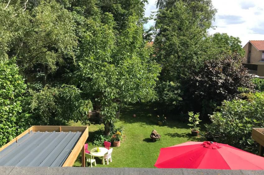 Küste, Ostende, Brügge, Plopsaland, Garten, Sauna. - foto 13