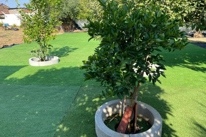 Visitar Bioucas II Traditionelles Einfamilienhaus - foto 17