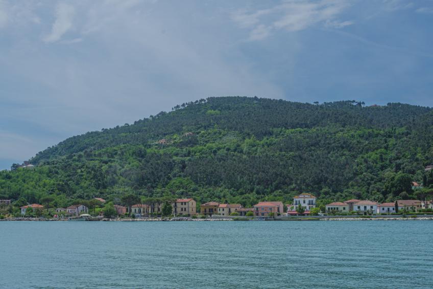 Kirschbäume, eine Oase im Wald zwischen Meer und Natur - foto 19