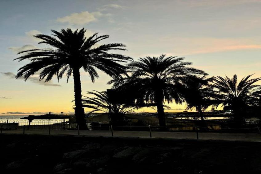 Mogan Montana - foto 34