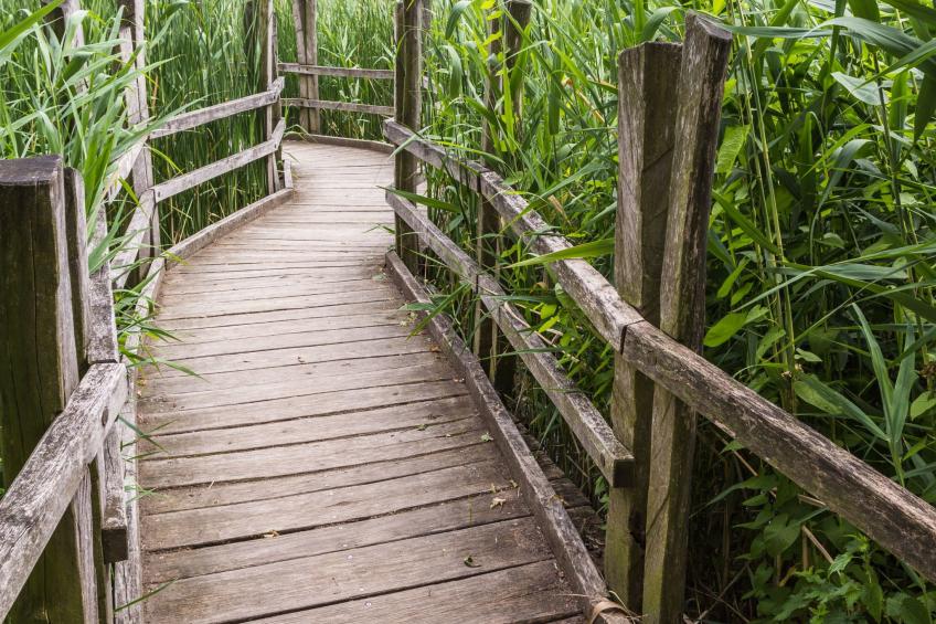 mit Fasssauna - foto 19