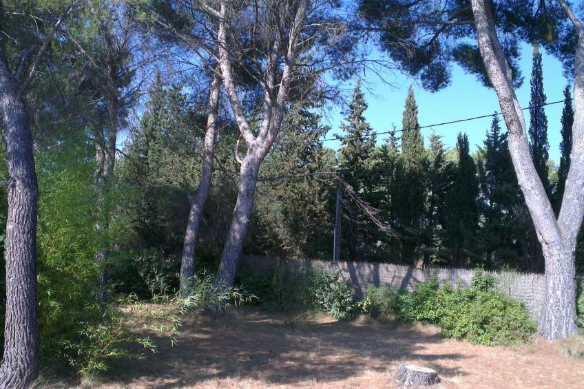 la petite maison sous les pinins-innenpool - foto 15