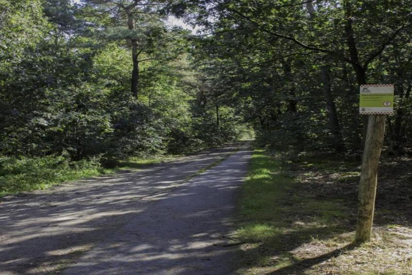 Vakantiepark Latour 2 - foto 35