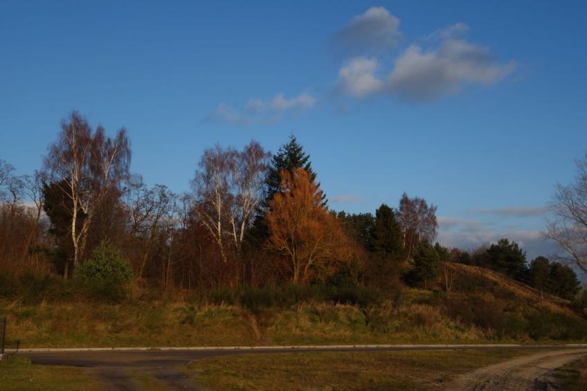 "Schweden 2" mit Wasserblick - foto 9