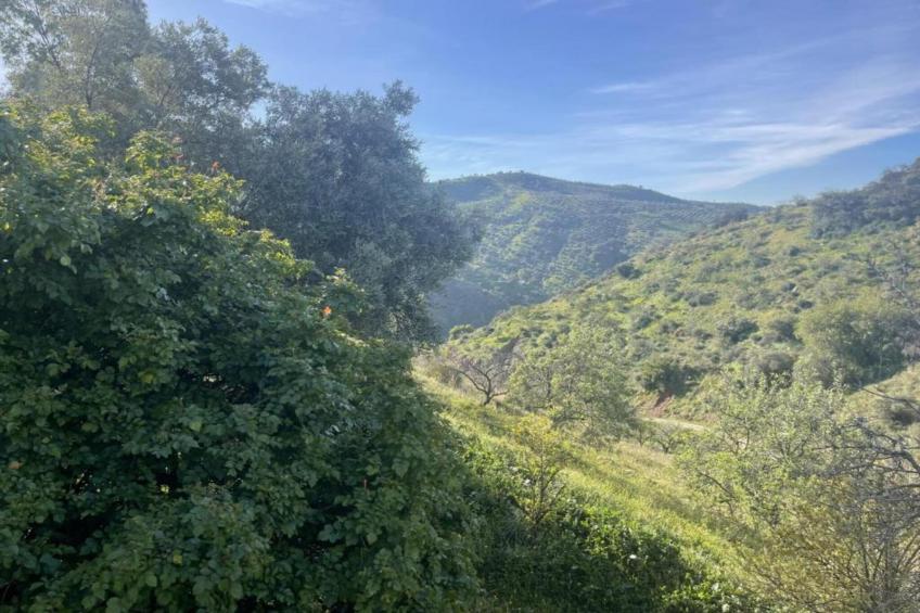 Casa el cielo - foto 36