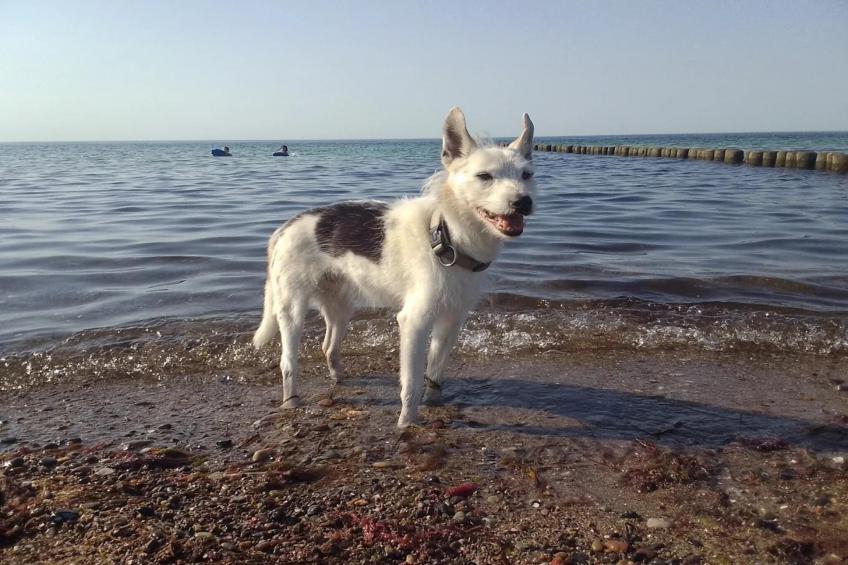 Harderhof 1 - foto 19